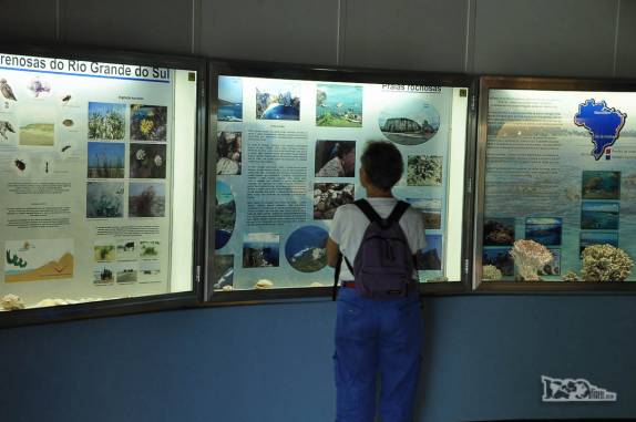 Visita ao Museu Oceanográfico em Rio Grande, no sul do Rio Grande do Sul